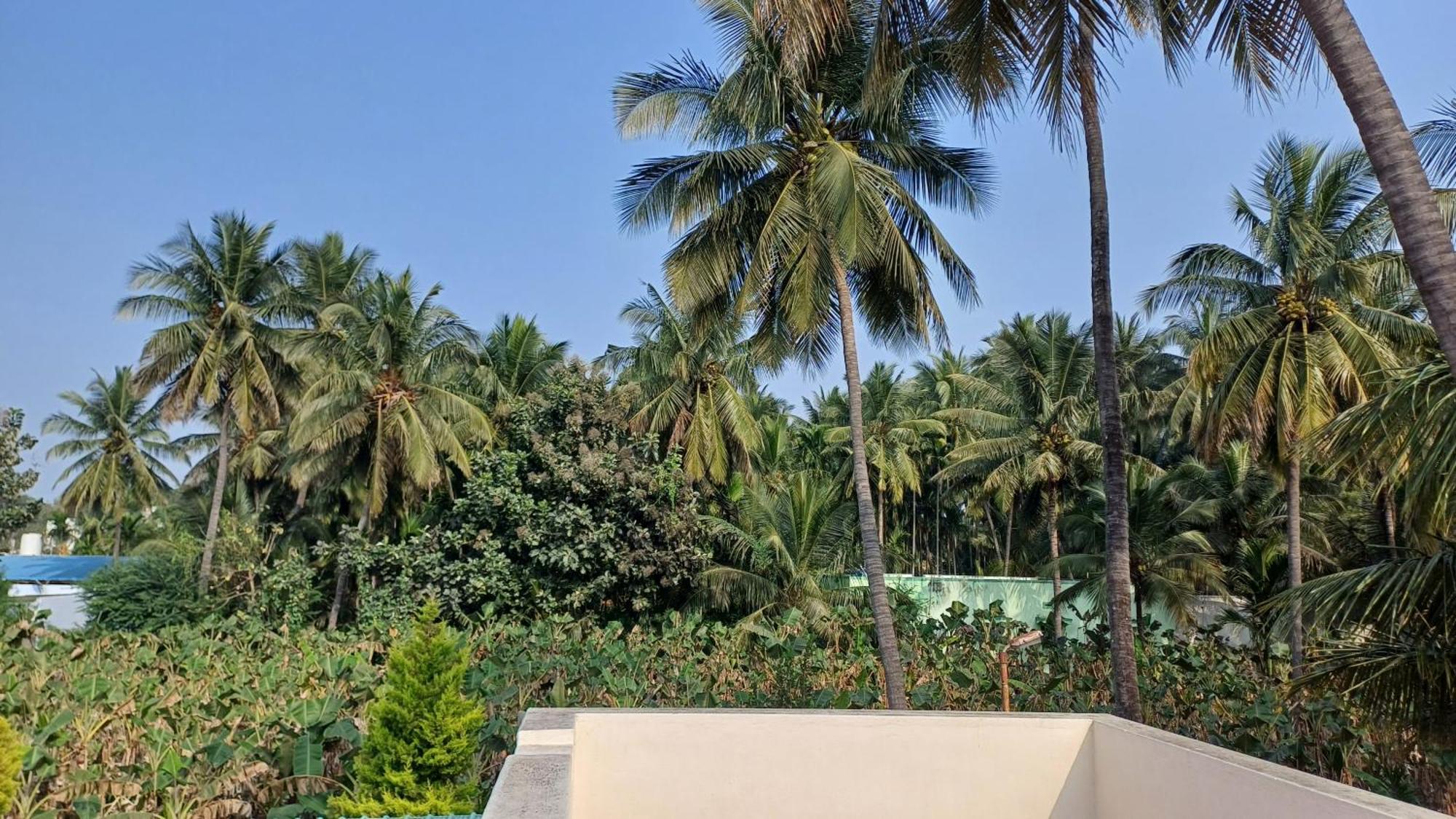 Shi'S Velliangiri 3Bhk Individual Villa Near Isha Adiyogi, Coimbatore Alandurai Exterior photo